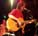 Rufus Wainwright